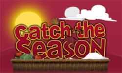 CATCH THE SEASON